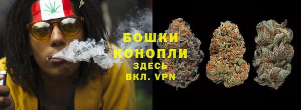 ПСИЛОЦИБИНОВЫЕ ГРИБЫ Зеленодольск