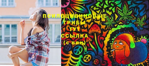 ПСИЛОЦИБИНОВЫЕ ГРИБЫ Зеленодольск