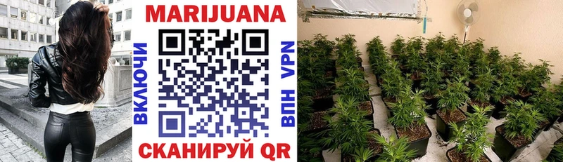 Шишки марихуана марихуана  Купить где  Шумерля 